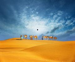 最新沙漠爆料新闻视频下载,揭秘神秘沙漠宝藏之谜